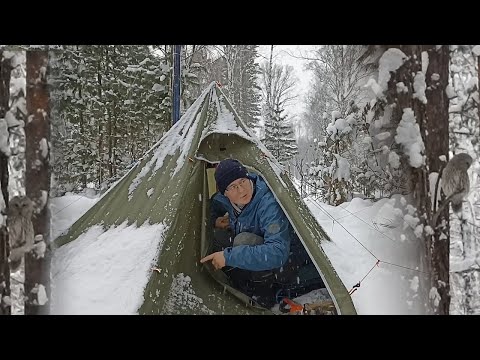 Видео: Ночевка в зимнем лесу в палатке с печкой. Испытание саней. Встретил неясыть.