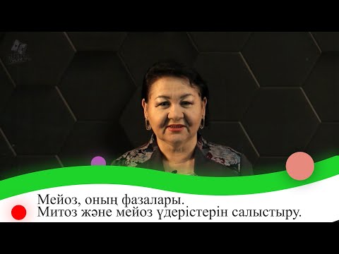 Видео: Мейоз, оның фазалары. Митоз және мейоз үдерістерін салыстыру. 9 сынып.