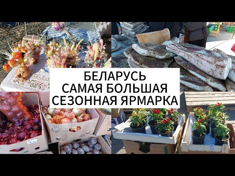 Видео: БЕЛАРУСЬ | САМАЯ БОЛЬШАЯ СЕЗОННАЯ ЯРМАРКА😱👍🔥