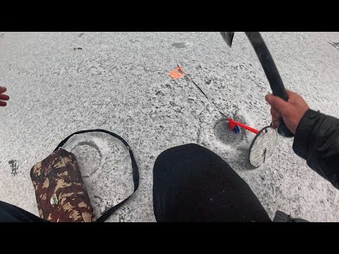 Видео: ПЕРВЫЙ ЛЁД 2025-26 / ЩУКА ломает ПОВОДКИ И КРЮЧКИ