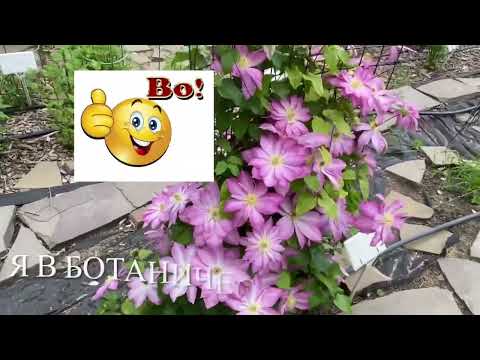 Видео: Ботанический сад- Волгоград. Май2022.#Волгоград#Растения#ботаническийсад#