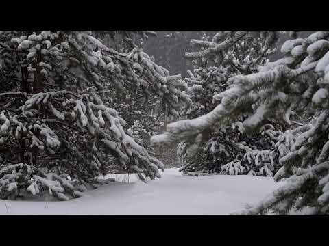 Видео: Плата (рэп с моим текстом сгенерированный ии)