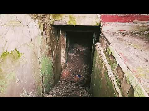 Видео: Воркута. 23.10.25. Воргашор. Незапланированная прогулка с Валентиной.