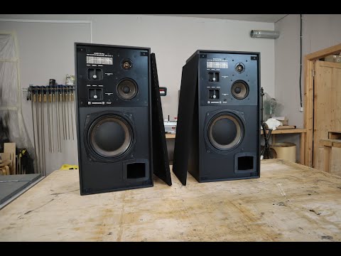 Видео: RADIOTEHNIKA 35АС-1 ЧЕРНАЯ ВЕРСИЯ. RADIOTEHNIKA 35AS-1 Black Edition.