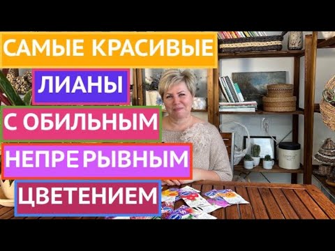 Видео: САМЫЕ НЕОБЫЧНЫЕ ЛИАНЫ, КОТОРЫЕ РАСТУТ В СРЕДНЕЙ ПОЛОСЕ!