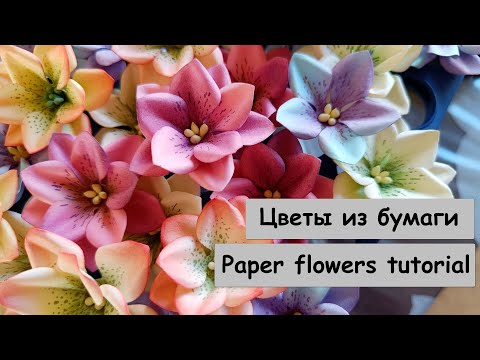 Видео: Красивые цветы из бумаги очень просто и быстро / Paper flowers tutorial