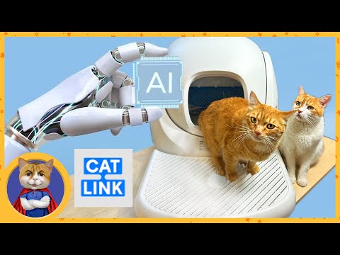 Видео: Новые технологии с искусственным интеллектом для котов. Распаковка мега крутых посылок