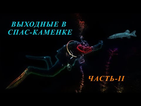 Видео: ДАЙВЕРСКИЕ ВЫХОДНЫЕ В СПАС-КАМЕНКЕ или ИСТОРИЯ ОДНОГО ПОГРУЖЕНИЯ.  ЧАСТЬ 2.