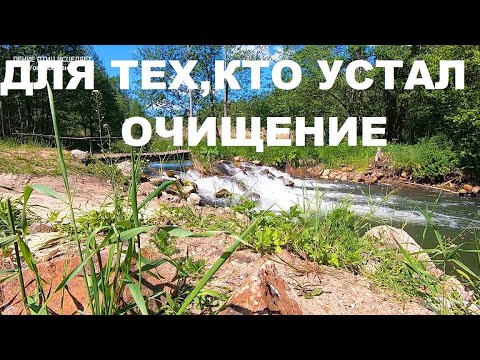 Видео: У ЛЕСНОГО РУЧЬЯ ПОЁТ ПЕРЕСМЕШКА И ЛЕСНЫЕ ПТИЦЫ.ТЕЧЕНИЕ РУЧЬЯ СНИМАЕТ СТРЕСС И ТРЕВОГУ.