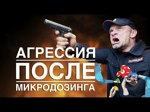 Видео: Агрессия во время курса микродозирования мухомором
