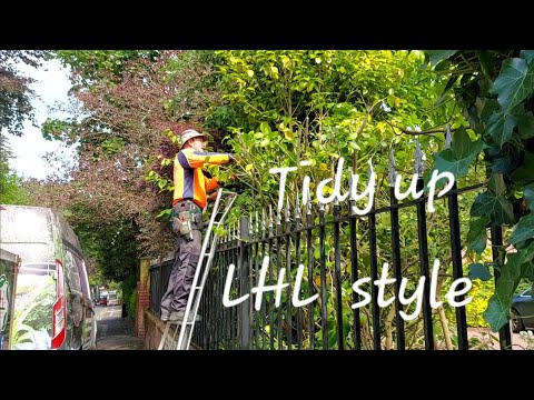 Видео: Уборка сада/двора...стиль LHL