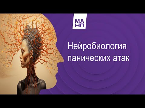 Видео: Нейробиология панических атак