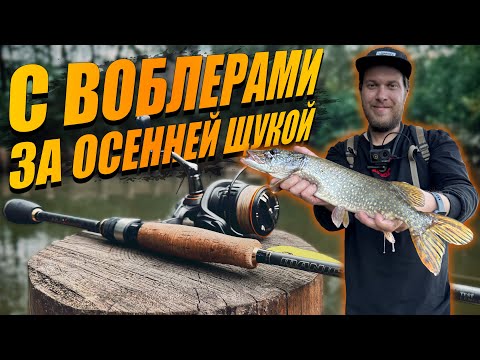 Видео: Ловлю Щуку и Судака На Рыбалке Осенью. Почти Обзор Maximus Manic 20L