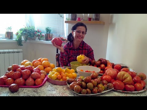 Видео: Каталог новинок сладкого перца 2025 