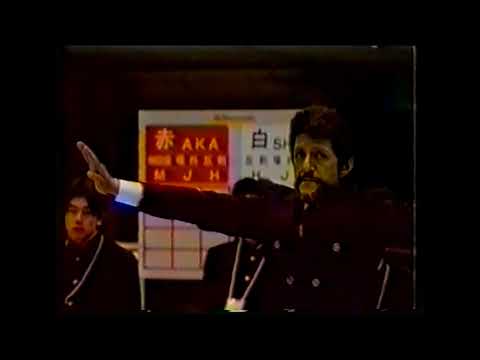 Видео: 1 Чемпионат Мира по Каратэдо Сито-рю Токио (кумитэ)