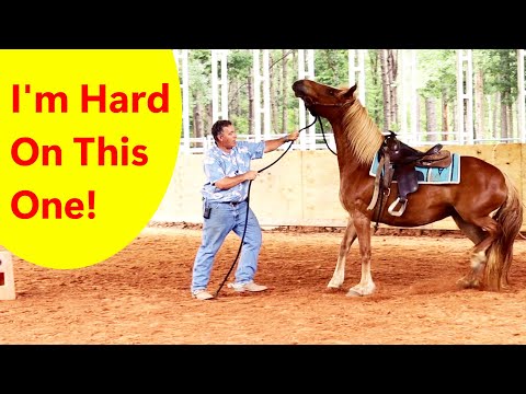 Видео: Наглая, непочтительная и опасная лошадь!