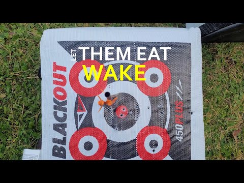 Видео: RAVIN R26 против Tenpoint Siege: СТРЕЛЬБА НА 100 ЯРДОВ. Исправлена ​​непоследовательность стрельб...