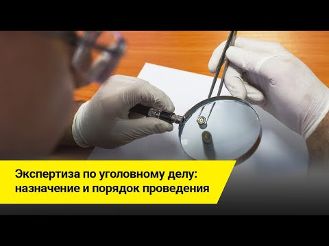 Видео: Экспертиза по уголовному делу: назначение и порядок проведения