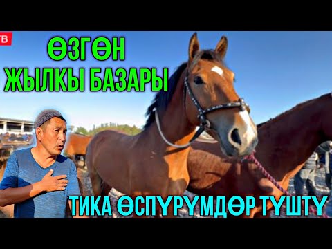 Видео: ӨСПҮРҮМДӨР КӨП КЕЛДИ #байтв