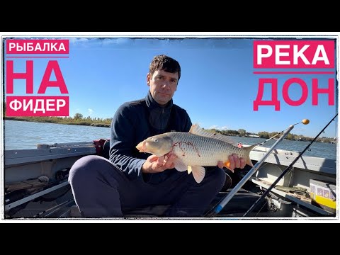 Видео: Удачная Рыбалка на Фидер  Осенью Река Дон