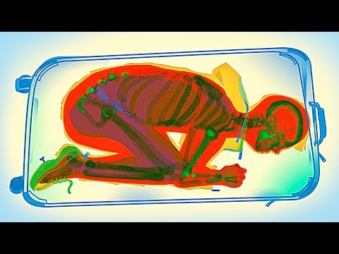 Видео: 33 непривычных способа облегчить ваш перелет