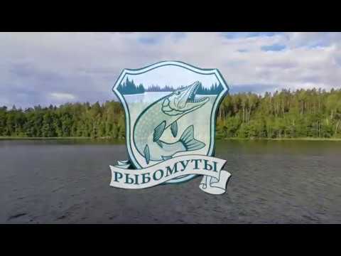 Видео: Рыбалка дикарями на озере Вуокса. Варим уху. Рыбалка Удалась!