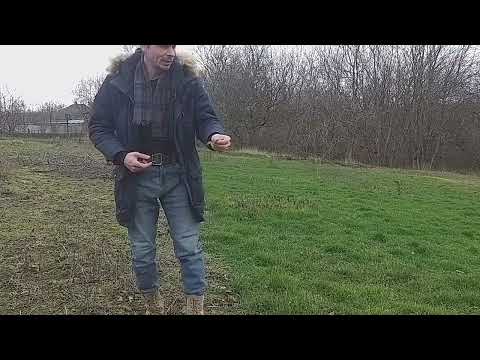 Видео: Как избавиться от сорняка без химии