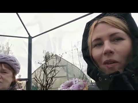 Видео: Закрыли дачу на зимовку, покупки с ВБ. 