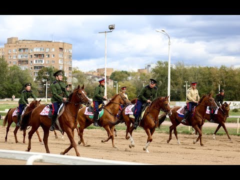 Видео: Дончаки на Московском ипподроме