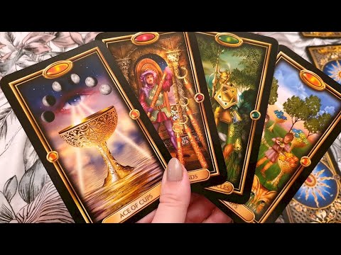 Видео: #таро Новое знакомство,а что дальше?🌿🪬