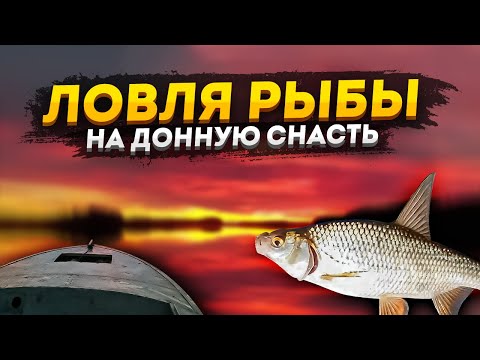 Видео: Ловля рыбы на донную снасть, Северная Сосьва!