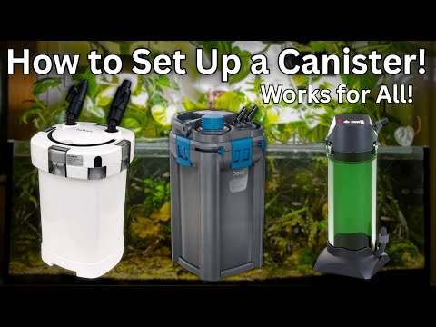 Видео: Как установить канистровый фильтр для вашего аквариума!