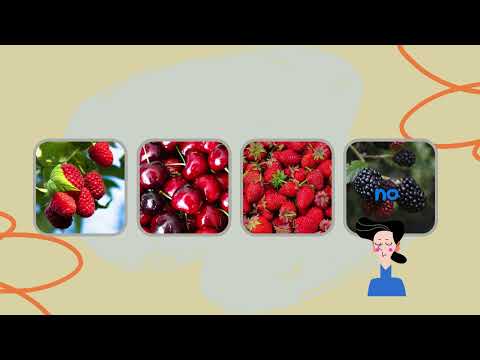 Видео: Знайди зайве 2