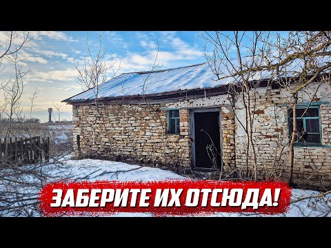Видео: Был в шоке зайдя в дом! | Орловская обл, Ливенский р/н д.Хмелевая