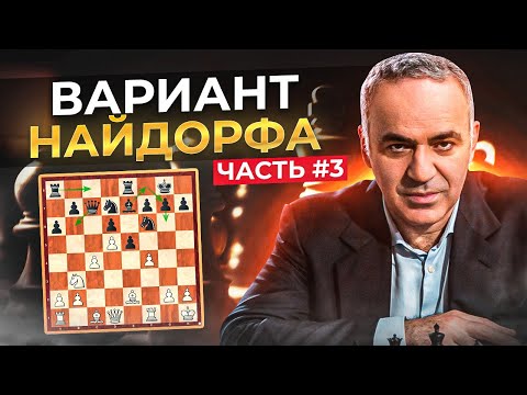 Видео: Вариант Найдорфа. Часть 3.