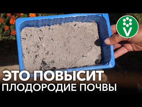 Видео: 4 ОТЛИЧНЫХ СПОСОБА СДЕЛАТЬ ПОЧВУ ПУШИСТОЙ И ПЛОДОРОДНОЙ!