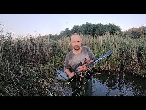 Видео: Копаю озеро в болоте 3.  Болотная резня бензопилой