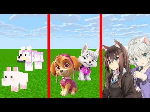 Видео: КАК МЕНЯЛАСЬ ДЕВУШКА СКАЙ ЩЕНЯЧИЙ ПАТРУЛЬ ЕЁ ЖИЗНЕННЫЙ ЦИКЛ В МАЙНКРАФТ анимация