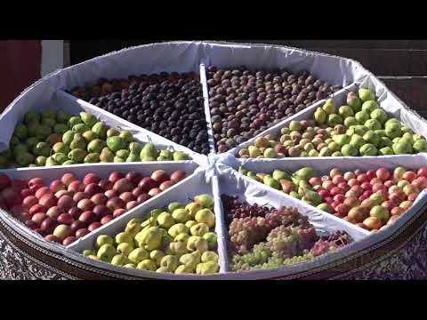 Видео: Ҷашни 31солаги Истиқлолият бо шукуҳу шаҳомати хоса дар н. Рашт кисми 2- 2022