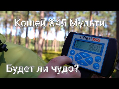 Видео: Мультичастотный Кощей Х45 с катушкой NEL Super FLY - будет ли чудо за 381 доллар?