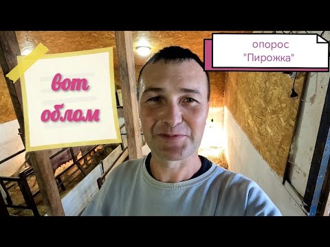 Видео: Опорос "ПИРОЖКА" 🤣🤣🤣 Батя даже не стал сниматься с горя