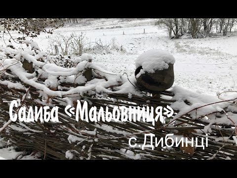 Видео: Садиба "Мальовниця" село Дибинці, Київщина.