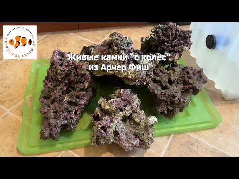 Видео: Живые камни с колёс из Арчер Фиш. Запуск морского аквариума на живых камнях.