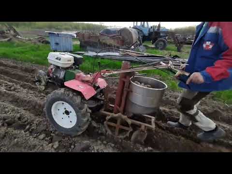 Видео: посадка картошки мотоблоком