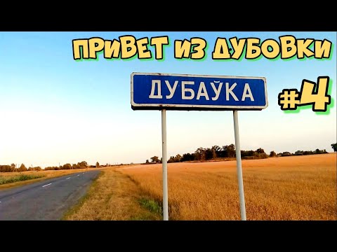 Видео: Привет из Дубовки #4