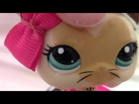 Видео: LPS: Music Video "кукла"