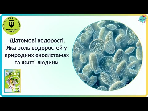 Видео: Діатомові водорості  Яка роль водоростей у природних екосистемах та житті людини?