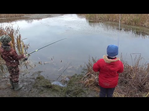 Видео: Рыбалка НА УДОЧКУ в КОНЦЕ ОКТЯБРЯ! ПАЦАНЫ СОРЕВНУЮТСЯ КТО КРУЧЕ! ПРИЗЫ!!! БОРЬБА!