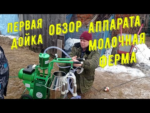 Видео: Обзор доильного аппарата ,,Молочная ферма,,#обзор#доильныйаппарат#молочнаяферма