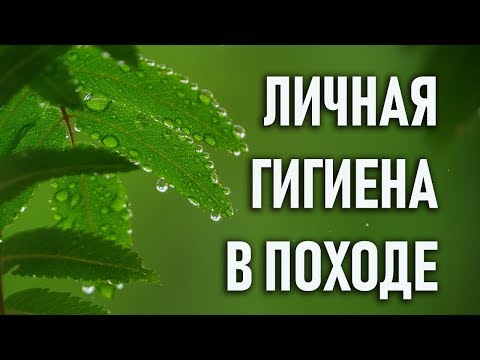 Видео: Личная гигиена в походах и экспедициях: опыт Археологического клуба